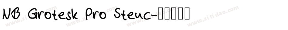 NB Grotesk Pro Stenc字体转换